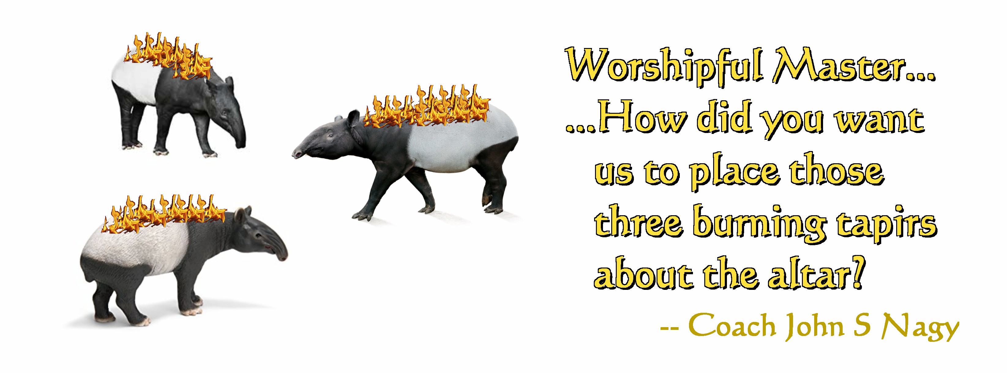 3 burning tapirs_01.JPG