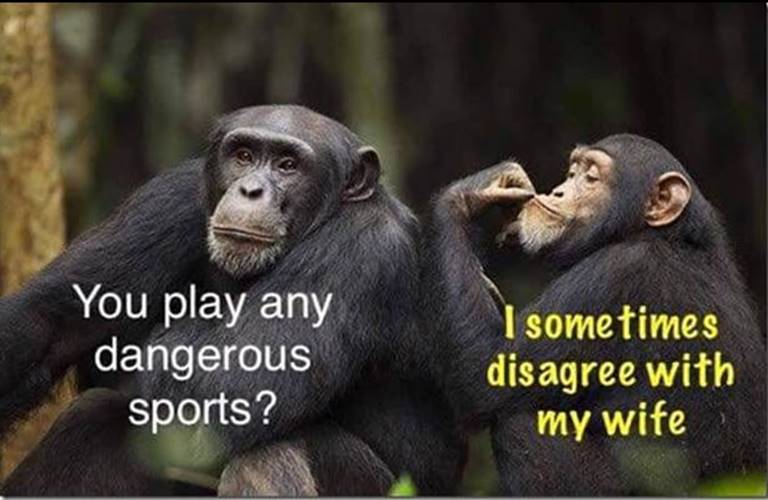 dangerous sports.jpg