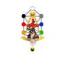 r0secr01x