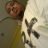Bro Dupree