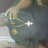 Bro Gibson